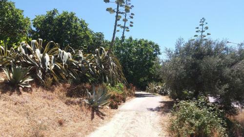Av Fonte Coberta, Lagos, Villa Fonte Coberta
