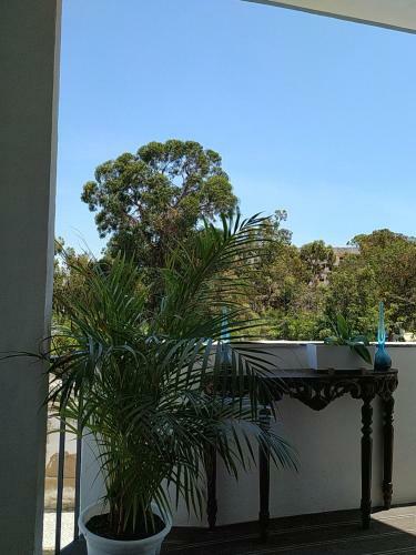 Apartamento Casa 3 Praias