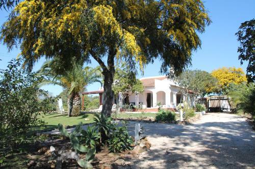Villa Alegria