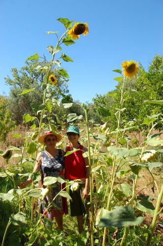 Agroturismo Quinta Do Maranh�o