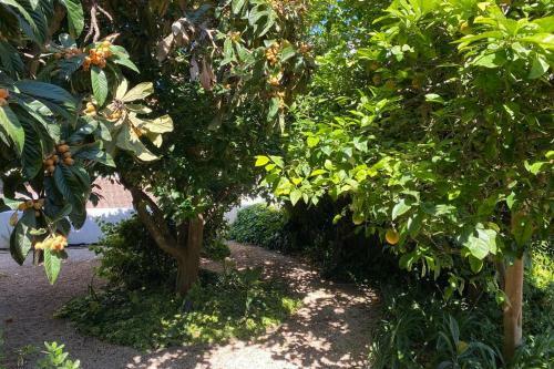 Apartamento Jardim Mendon�a By Rpg Properties