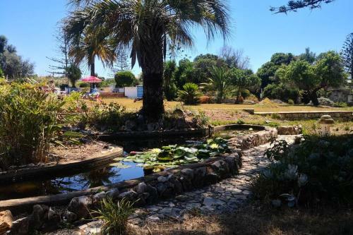 Videira Suite, Ultra Fast Internet, Huge Gardens