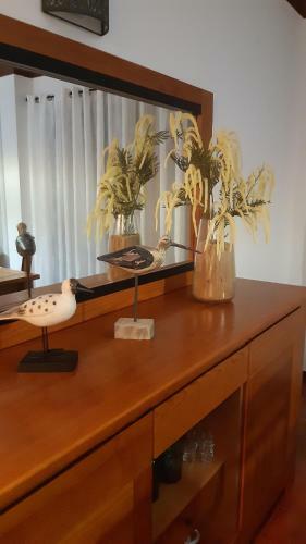 Joanita Beach Apartment Holidays