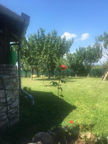 Agroturismo Conacul Din Deal