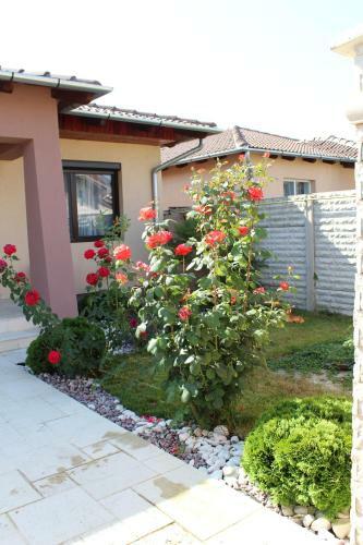 Villa Sia & Sophie 's House
