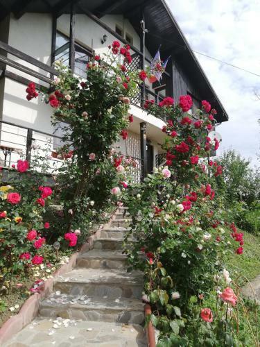 Hostal Casuta Cu Trandafiri