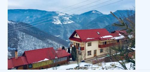 Lodge Cabana Muntele Paltinei