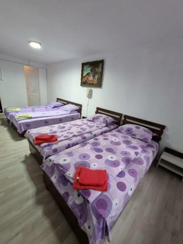 Hostal Pensiunea Amalia