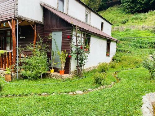 Hostal Pensiunea Amalia