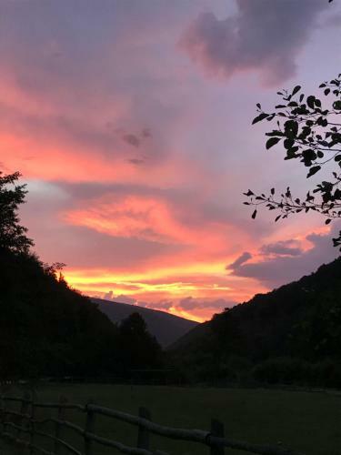Lodge Pensiunea Valea Tonii