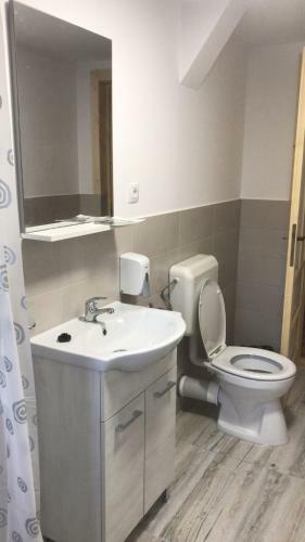 Lodge Pensiunea Valea Tonii