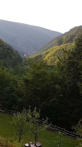 Lodge Pensiunea Valea Tonii