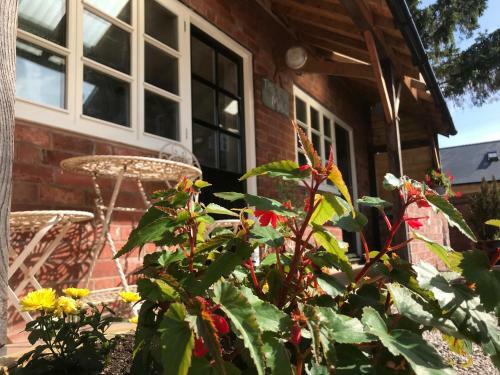 The Mill At Rose Villa Farm