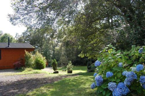 Woodland Spruce Lodge