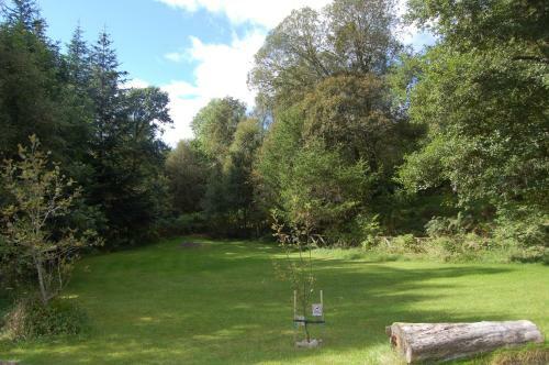 Woodland Spruce Lodge
