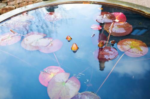 Apartamento Altido The Polchar