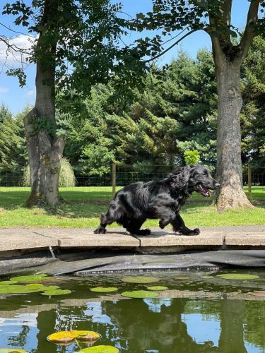 Bed & Breakfast Wood Rising