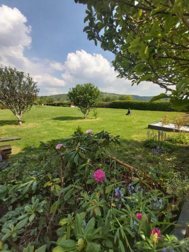 Bluebell House 5 Star Holiday Let