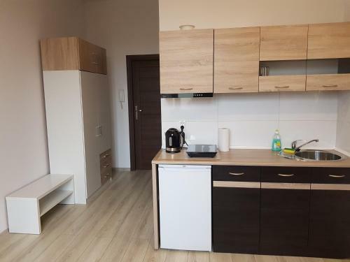 Apartment Katowice City Center