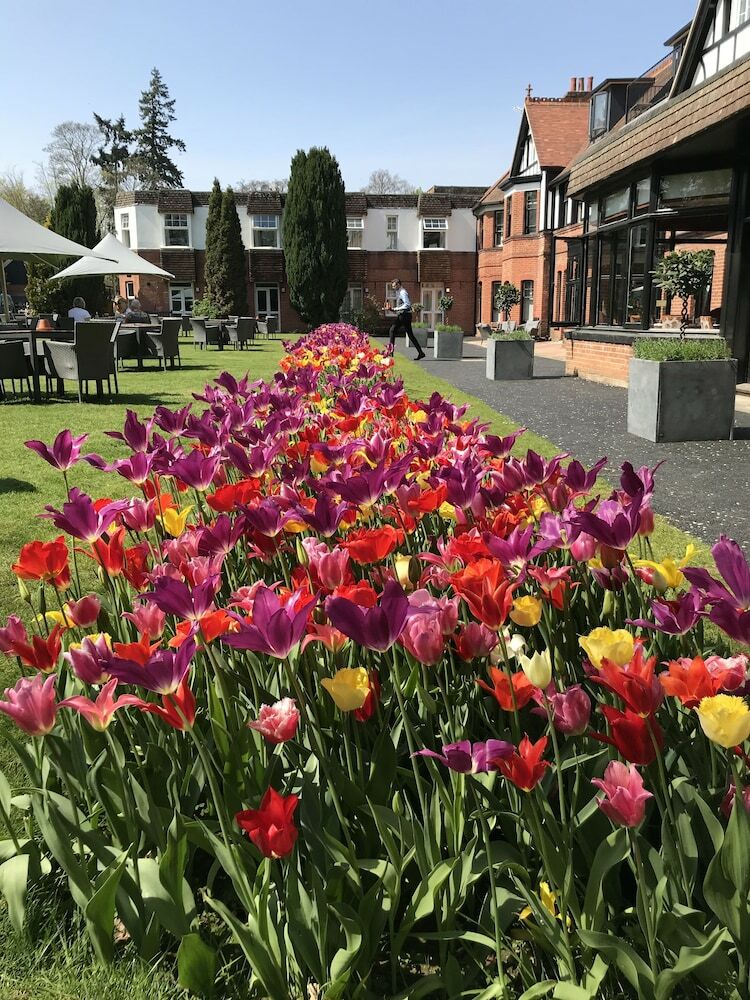 Forest Park Hotel