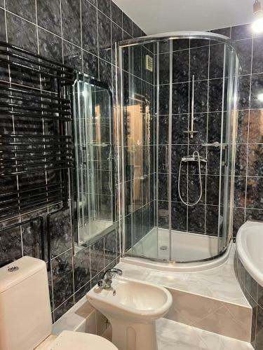 Comfort Zone Ostr�da Villa Apartment Duplex