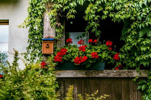 Agroturismo Le?na Zagroda