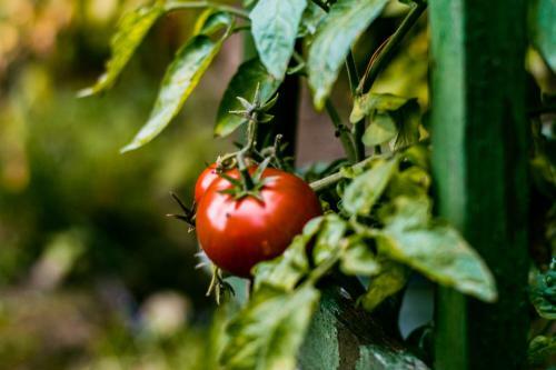 Agroturismo Le?na Zagroda