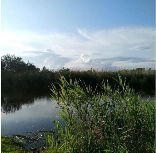 Dom Pod Bia?ym Pagajem