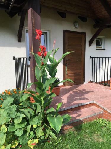 Dom Pod Bia?ym Pagajem