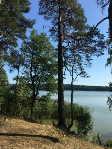 Dom Pod Bia?ym Pagajem