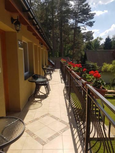 Dom Go?cinny U Doroty