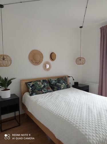 Apartament Cappello