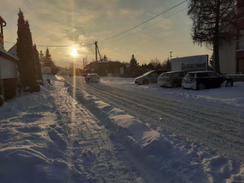 Apartament Szachowy
