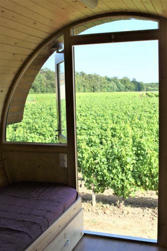 Domaine La Porte Dor�e