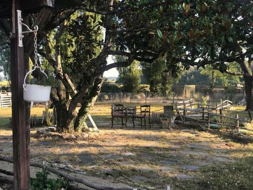 Bed & Breakfast Chez Gustave & Compagnie