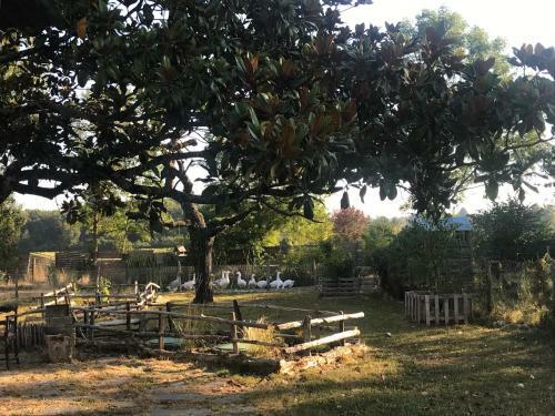 Bed & Breakfast Chez Gustave & Compagnie