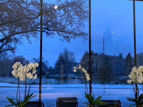Bed & Breakfast Orangerie De Chatel-selection Figaro & Elle Magazine