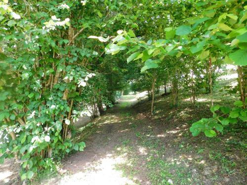 Bed & Breakfast Domaine La Bastide