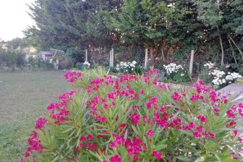 Chez Noi@48 : Whole House Rental, Bed & Breakfast