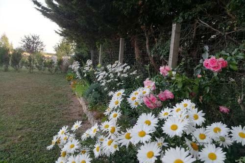Chez Noi@48 : Whole House Rental, Bed & Breakfast
