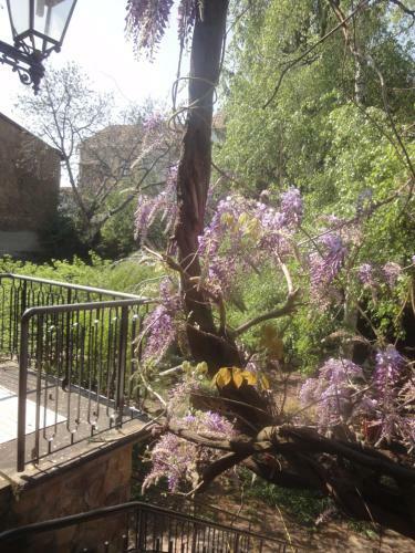 Apartamento Le Jardin Des Remparts