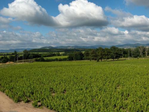 Apartamento Coeur De Beaujolais