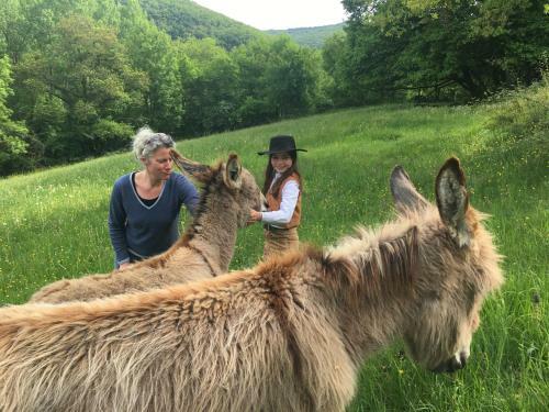 Bed & Breakfast Art En C�l�-chambres D'h�tes