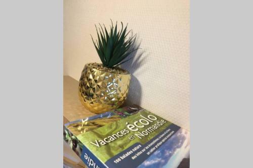 Apartamento Charmant Studio Belle Vue Mer En Normandie