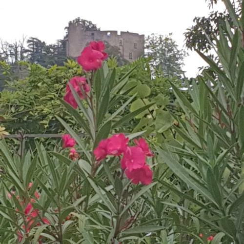 Bed & Breakfast Les Nuances De M�lis'