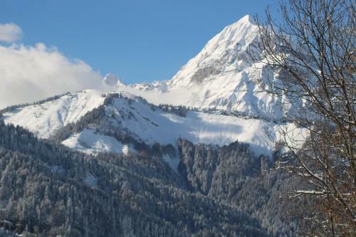 Hotel Le Mont Bisanne