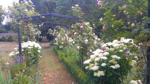 Hostal Le Jardin Des �cureuils