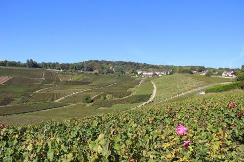 G�te Enjoy En Champagne Avec Verger