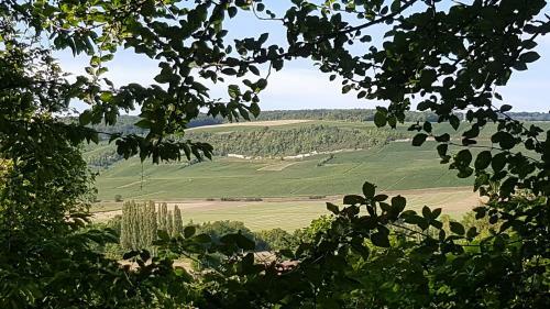 G�te Enjoy En Champagne Avec Verger