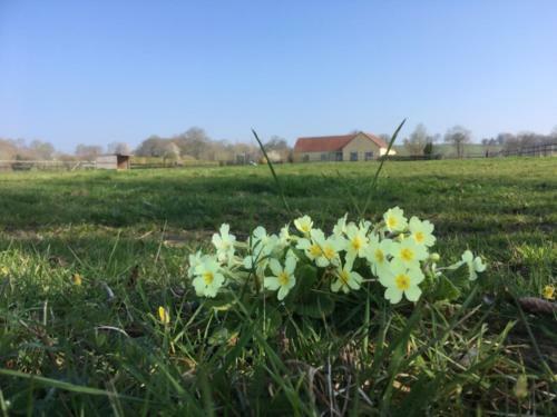 Bed & Breakfast La Bretonniere
